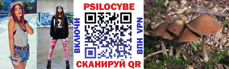 Купить закладки  Калуга  Галлюциногенные грибы ЛСД 